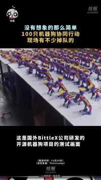 没有想象的那么简单 100只机器狗协同行动 现场有不少掉队的