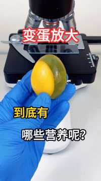 你喜欢吃变蛋吗?