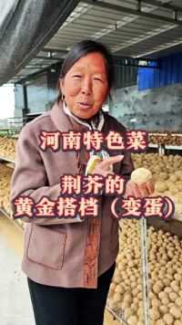 河南特色蔬菜 荆芥的黄金搭档你知道吗#荆芥 #变蛋 #生菜杨姐 #三农