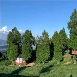 小四在旅行主播