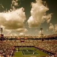 一线体育hgc主播