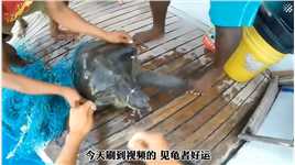小海龟被一大坨渔网缠住，游动不了，小哥跳进海里帮助它脱困神奇动物在动物世界善待动物关爱生命海洋动物海龟