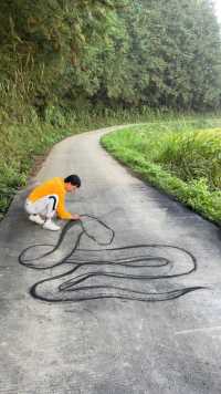 在马路上画蛇，居然引来了真蛇