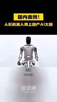 人形机器人用上国产AI大脑了