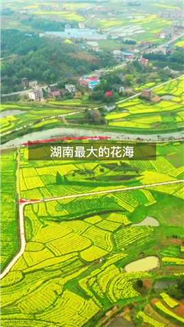  #记录中国 #油菜花儿开 湖南有个地方种植了几万亩油菜花，一到春天这就变成了花的海洋！