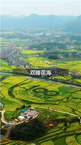  #记录中国 #双峰 双峰万亩油菜花海齐开放，描绘出来一幅幅美丽的图案，答应我一定要带上心爱的人来这看看花！