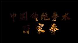 中国传统拳术混剪 哪一个是你们最喜欢的拳术呢