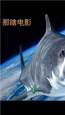 第一集：你见过从天而降的鲨鱼吗？#剧圈圈 #鲨卷风