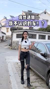 那台车 究竟是什么品牌 ？排量多少？马力多大？你们能帮我科普一下吗？