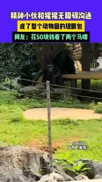 5月1日，广西（发布）精神小伙和猩猩无障碍沟通，成了整个动物园的现眼包
