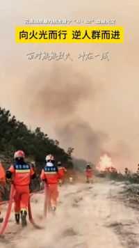 晋宁“4·12”森林火灾 | 向火光而行，逆人群而进，不分昼夜，只为山火退散