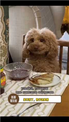 狗子 ：拍完了吧，可以让我吃了吧 ！？#狗子的就餐礼仪 #娱乐评论大赏 #尴尬不失礼貌的微笑.mp4



