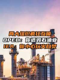 两大组织疯狂互喷，OPEC：你诋毁石油业，IEA：你小心玩火  