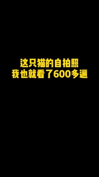 我家猫的自拍照有帅到你吗？