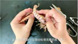 原来剥皮皮虾的皮这么简单，1根筷子一撕就完事，再也不怕扎嘴了