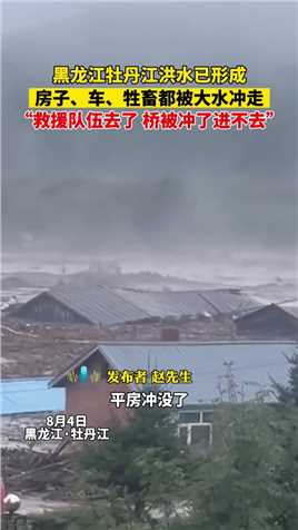 黑龙江牡丹江洪水已形成，房子、车、牲畜都被大水冲走，“救援队伍去了，桥被冲了进不去”
