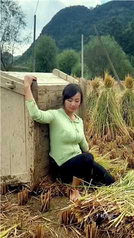 收获的季节，忙碌的田间，勤劳不怕辛苦的农村姑娘！#农村姑娘 #我的乡村生活 