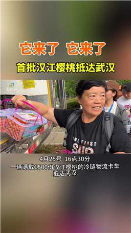 首批#十堰#汉江樱桃 送达#武汉
这些樱桃是在柳家河村现场采摘，经过冷链物流车运送到武汉的。