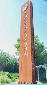 来西安五天，每天都是大太阳🌞天空很蓝，太阳很暖，风吹日晒，自由自在#汉阳陵国家考古遗址公园