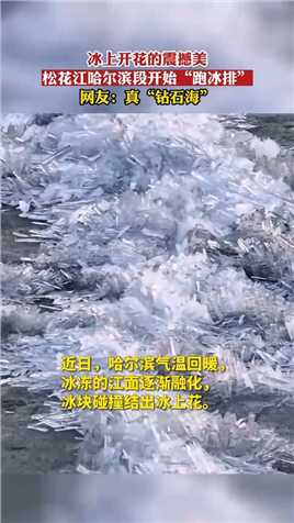 冰上开花的震撼美！松花江哈尔滨段开始“跑冰排”。网友：真“钻石海”！