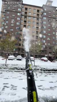 下雪啦！小笼包玩雪的日常