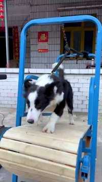 只要思想不滑坡，办法总比困难多！