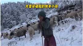  小男孩在冰天雪地中牧羊