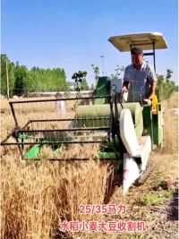 小麦水稻小型收割机 25/35马力#水稻 #收麦 #小麦 #小型联合收割机 #收割机