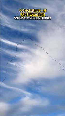 天空中出现壮观一幕，大雁在空中换位，它们是怎么确定自己位置的