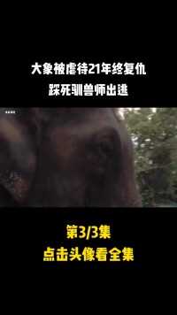 大象被虐待21年终复仇，踩死驯兽师出逃，身中86枪倒地身亡#大象#驯兽师#踩踏 (3)