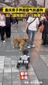 重庆男子养超霸气机器狗，出门遛狗堪比“斗狗赛”（来源：