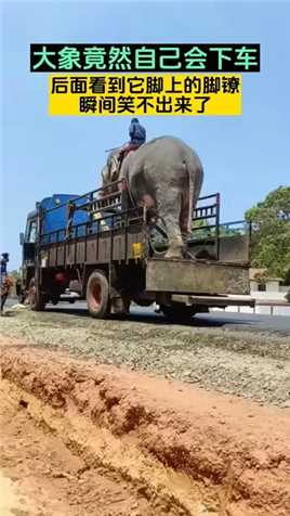 大象竟然自己会下车。看到它脚上的脚镣瞬间笑不出来了