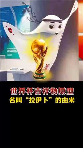  世界杯吉祥物原型，名叫“拉伊卜”的由来