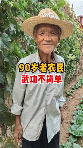90岁老农民，武功不简单，一出手才知高手在民间！