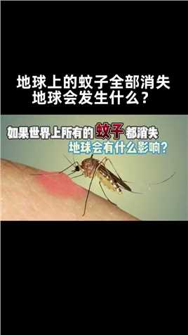 如果世界上的蚊子全部消失，地球会发生什么？
