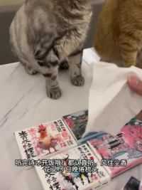 这个古诗纸巾真是太有创意了，有了这个纸巾，随时随地都可以读一首诗#我和我的猫 #养猫的乐趣 #铲屎官的乐趣 #在家撸猫