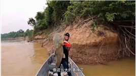 老表在亚马逊河里抓到巨型黄辣丁，跟一头猪一样大#户外捕鱼 #真实户外