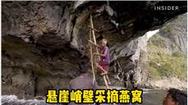 村民登上无人岛屿的悬崖峭壁，采摘名贵燕窝#野外生活纪录片 #洞穴探险 #荒野求生