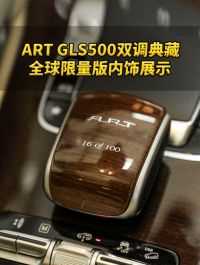 ART GLS500双调典藏全球限量版内饰展示