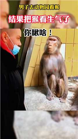 男子去动物园看猴，结果把猴看生气了，你瞅啥！