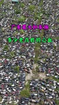广东最大的扣车场，现场堆积如山，车辆杂草丛生，太浪费了，都是老百姓心血，这些摩托车将会何去何从！