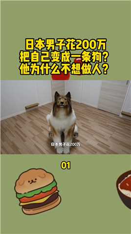 日本男子花200万，把自己变成一条狗？他为什么不想做人？#科普#日本生活#福瑞控#皮套演员#苏牧犬 (1)