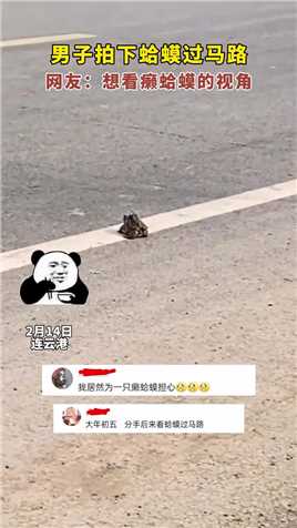 连云港：胆战心惊!男子拍下蛤蟆过马路。