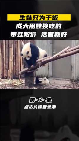 熊猫成大带娃有多敷衍，不求孩子开心快乐，只求能活着就好大熊猫国宝大熊猫动物的迷惑行为