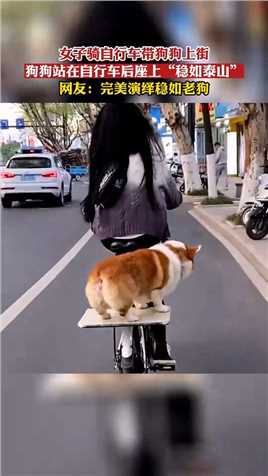 自行车带狗狗上街，狗狗站在自行车后座上“稳如泰山”！