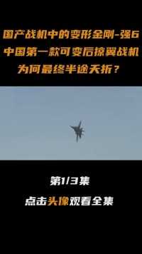 国产战机中的“变形金刚”强6，中国第一款可变后掠翼战机#战斗机#军迷#大国重器#军事科技#军事科普 (1)