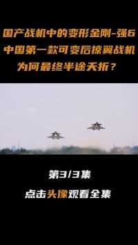 国产战机中的“变形金刚”强6，中国第一款可变后掠翼战机#战斗机#军迷#大国重器#军事科技#军事科普 (3)