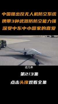 中国推出“反无人机防空系统”，搭载多种武器，堪称无人机克星#无人机#防空系统#大国重器#军事科技 (2)