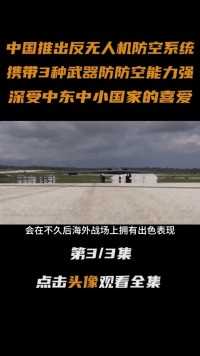 中国推出“反无人机防空系统”，搭载多种武器，堪称无人机克星#无人机#防空系统#大国重器#军事科技 (3)