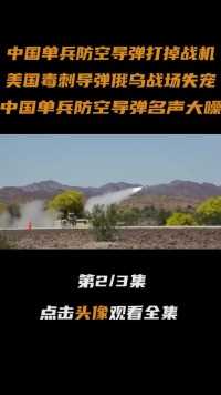 中国单兵防空导弹海外战场创下惊人战绩，打掉千万美元超音速战机#防空导弹#大国重器#军事科技 (2)